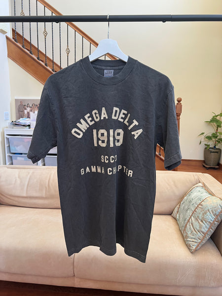 sample - OMEGA DELTA - t-shirt (washed gray)