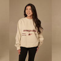 OMEGA DELTA - oversized crewneck sweater (off white)
