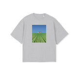 BARN HOUSE - boxy oversized t-shirt (light grey)